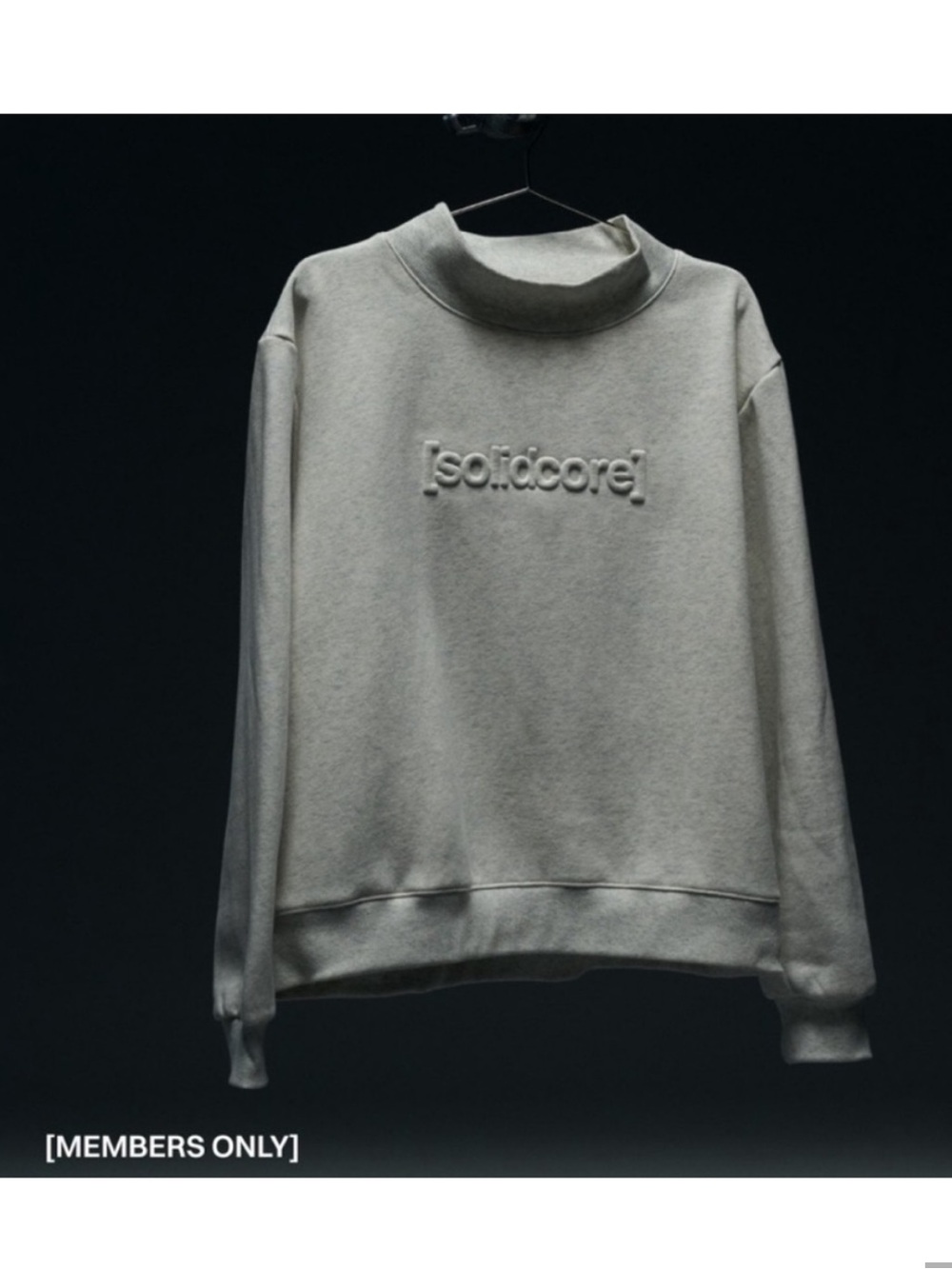 Solidcore Solidays Mockneck Size small New in Original Solidcore Tote bag